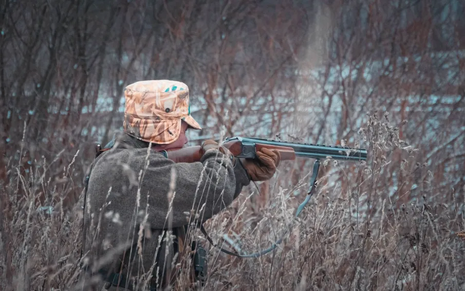 Для контроля популяции хищников в Нижегородской области в 2025 году охотники добыли 60 волков и 215 лисиц
